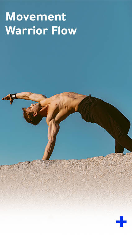 Merlin Lang Healthy Movement retreat